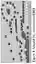 Fig. 02 - Non-rinse micellar water chassis