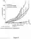Fig. 02 - Herbal composition PHY906 and its use in chemotherapy