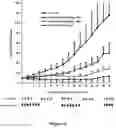 Fig. 07 - Herbal composition PHY906 and its use in chemotherapy