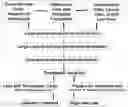 Fig. 01 - Platform for generating safe cell therapeutics