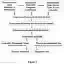 Fig. 02 - Platform for generating safe cell therapeutics