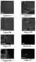 Fig. 07 - Platform for generating safe cell therapeutics
