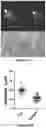 Fig. 20 - Platform for generating safe cell therapeutics