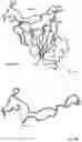 Fig. 07 - CORONAVIRUSES EPITOPE-BASED VACCINES