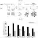 Fig. 02 - COMPOSITIONS AND METHODS FOR TREATING LIVER DISEASE AND DYSFUNCTION