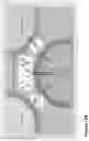 Fig. 35 - Compound chimeric antigen receptor (cCAR) targeting multiple antigens, compositions and methods of use thereof