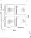 Fig. 44 - Compound chimeric antigen receptor (cCAR) targeting multiple antigens, compositions and methods of use thereof