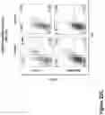 Fig. 63 - Compound chimeric antigen receptor (cCAR) targeting multiple antigens, compositions and methods of use thereof