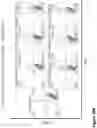 Fig. 76 - Compound chimeric antigen receptor (cCAR) targeting multiple antigens, compositions and methods of use thereof