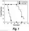 Fig. 02 - CONDITIONALLY IMMORTALIZED LONG-TERM STEM CELLS AND METHODS OF MAKING AND USING SUCH CELLS