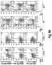 Fig. 08 - CONDITIONALLY IMMORTALIZED LONG-TERM STEM CELLS AND METHODS OF MAKING AND USING SUCH CELLS
