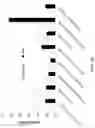 Fig. 08 - Methods and compositions for stabilizing trans-splicing intein modified proteases