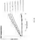 Fig. 12 - Methods and compositions for stabilizing trans-splicing intein modified proteases