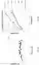 Fig. 17 - Methods and compositions for stabilizing trans-splicing intein modified proteases