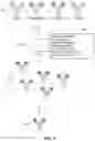 Fig. 02 - Variant nucleic acid libraries for antibody optimization