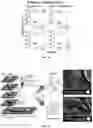 Fig. 06 - DNA-RESPONSIVE HYDROGELS, METHODS OF ALTERING A PROPERTY OF A HYDROGEL, AND APPLICATIONS THEREOF