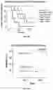 Fig. 22 - DNA-RESPONSIVE HYDROGELS, METHODS OF ALTERING A PROPERTY OF A HYDROGEL, AND APPLICATIONS THEREOF