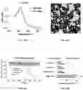 Fig. 44 - DNA-RESPONSIVE HYDROGELS, METHODS OF ALTERING A PROPERTY OF A HYDROGEL, AND APPLICATIONS THEREOF