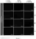 Fig. 47 - DNA-RESPONSIVE HYDROGELS, METHODS OF ALTERING A PROPERTY OF A HYDROGEL, AND APPLICATIONS THEREOF