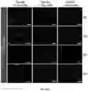 Fig. 48 - DNA-RESPONSIVE HYDROGELS, METHODS OF ALTERING A PROPERTY OF A HYDROGEL, AND APPLICATIONS THEREOF