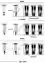 Fig. 52 - DNA-RESPONSIVE HYDROGELS, METHODS OF ALTERING A PROPERTY OF A HYDROGEL, AND APPLICATIONS THEREOF