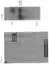 Fig. 02 - Composition for delivery of genetic material