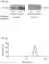Fig. 07 - Composition for delivery of genetic material