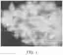Fig. 02 - THERMAL INSULATION FILLING MATERIAL, PREPARATION METHOD THEREOF, AND THERMAL INSULATION ARTICLE