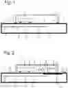 Fig. 02 - Implantable optical sensor with hermetically sealed cover cap