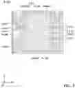 Fig. 06 - Optical element driving mechanism