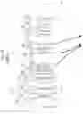 Fig. 11 - Zoom lens and imaging apparatus