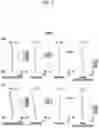 Fig. 04 - Zoom lens and imaging apparatus