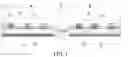 Fig. 02 - PIXEL STRUCTURE OF DISPLAY