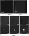 Fig. 06 - Polymer-assisted synthesis of nanoparticles