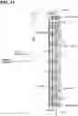 Fig. 12 - Device including rotator and belt, such as a fixing device for an image forming apparatus