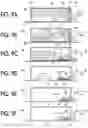 Fig. 09 - Developing device and image forming apparatus