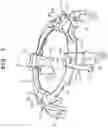 Fig. 04 - Exterior member, case and timepiece