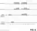 Fig. 07 - Method of operating a diagnostic instrument