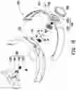 Fig. 06 - Head-mounted display