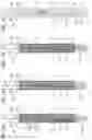 Fig. 16 - Stylus pen