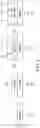 Fig. 03 - TOUCH DISPLAY, ASSOCIATED DRIVER INTEGRATED CIRCUIT AND TOUCH DISPLAY PANEL THEREOF