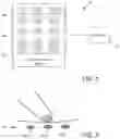 Fig. 02 - Methods and techniques for correcting pressure sensor data in the presence of abnormal pressure sensor readings