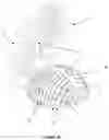 Fig. 04 - Capacitive sensor for a three dimensional object
