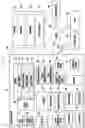 Fig. 02 - Electronic device performing function according to gesture input and operation method thereof