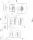 Fig. 02 - Reduced application view during loading
