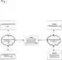 Fig. 01 - Capturing data from a live web application to populate a demo application