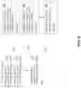 Fig. 08 - Writing messages in a shared memory architecture for a vehicle
