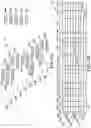 Fig. 02 - Natural language processing matrices