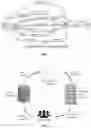 Fig. 02 - Automated system and method to prioritize language model and ontology expansion and pruning