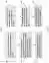 Fig. 08 - Barcode scanning system with image or video output(s)